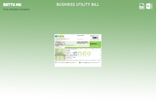 Модерен стил Камерун ENEO шаблон за деловна сметка за електрична енергија